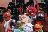 Muppety powracają! Będzie nowy serial o Muppetach