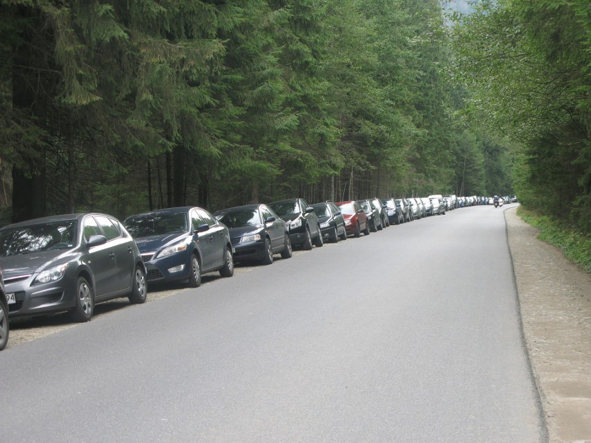 Zobaczcie, jak "Janusze" parkują samochody przy drodze do Morskiego Oka [WIDEO]
