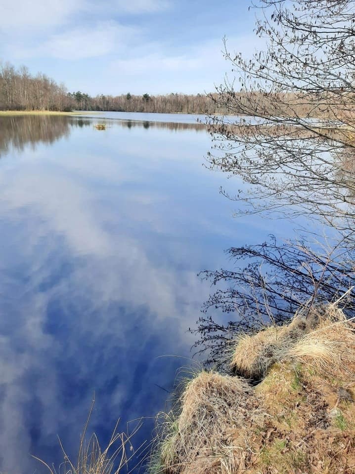 Wiosenna akcja sprzątania brzegów jezior w gminie Czarna...
