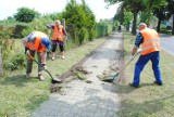 Porządki na ulicach i ścieżkach rowerowych w ramach programu CIS