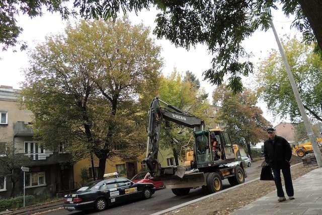 Czytelnicy martwią się o dalszy los drzew rosnących przy remontowanej obecnie ulicy Reja