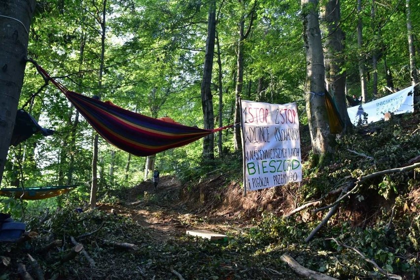 Protest w hamakach. Dzikie Karpaty bronią lasów w Bieszczadach