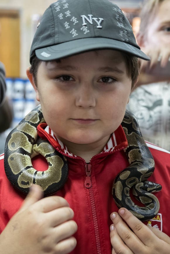 Dzień Owada do niedzieli