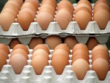  Które sklepy rezygnują z jaj chowu klatkowego? [lista]