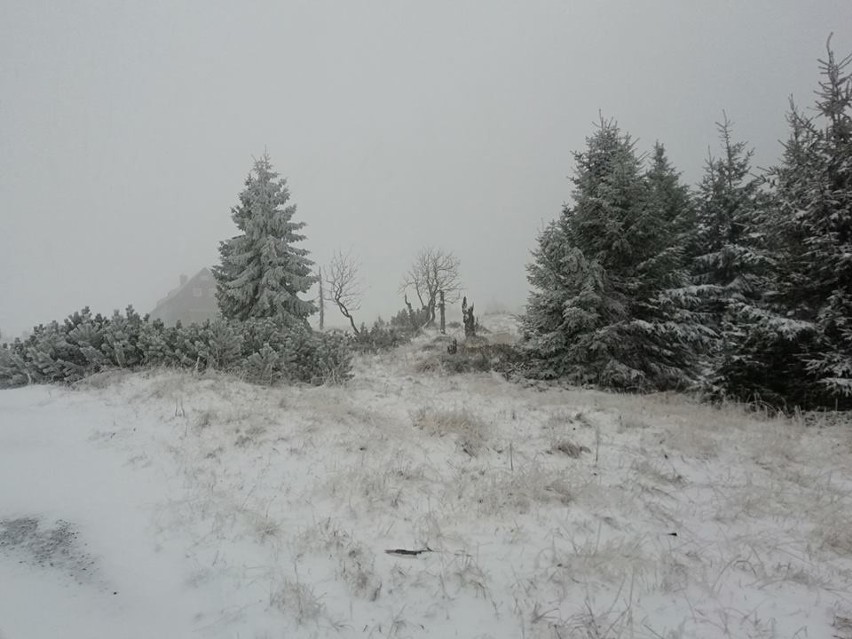 Pierwszy śnieg na Dolnym Śląsku! Wichura nawet 100 km/h [ZDJĘCIA]
