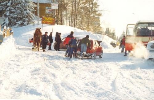 Śnieżne niespodzianki