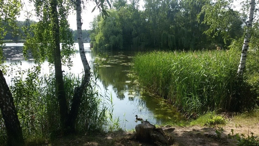 Obecnie Balaton jest opuszczonym, niestrzeżonym...