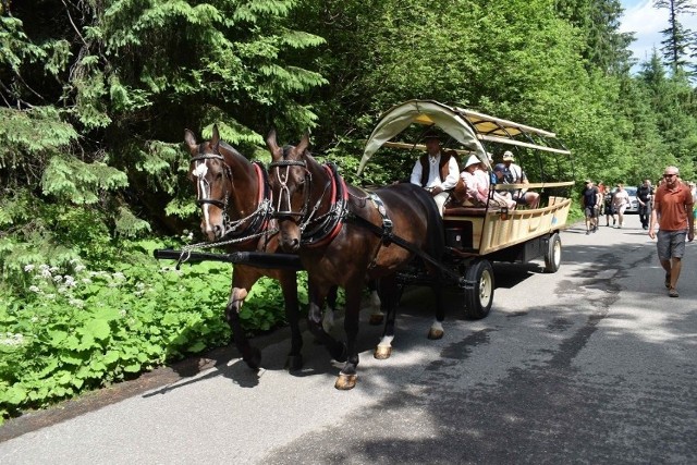 Nowoczesny fasiąg, czyli hybrydowy wóz konny przegrał z Tatrami. Miał wozić turystów nad Morskie Oko, ale nie poradził sobie z górami. Zobaczcie w galerii zdjęć, jak wygląda taki pojazd