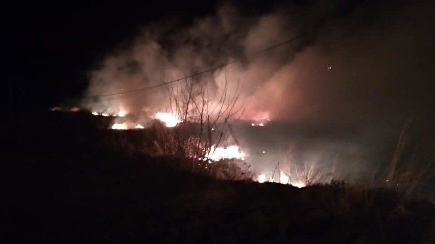 Kilkanaście pożarów suchych traw. Bezmyślne zachowanie sądeczan [ZDJĘCIA]