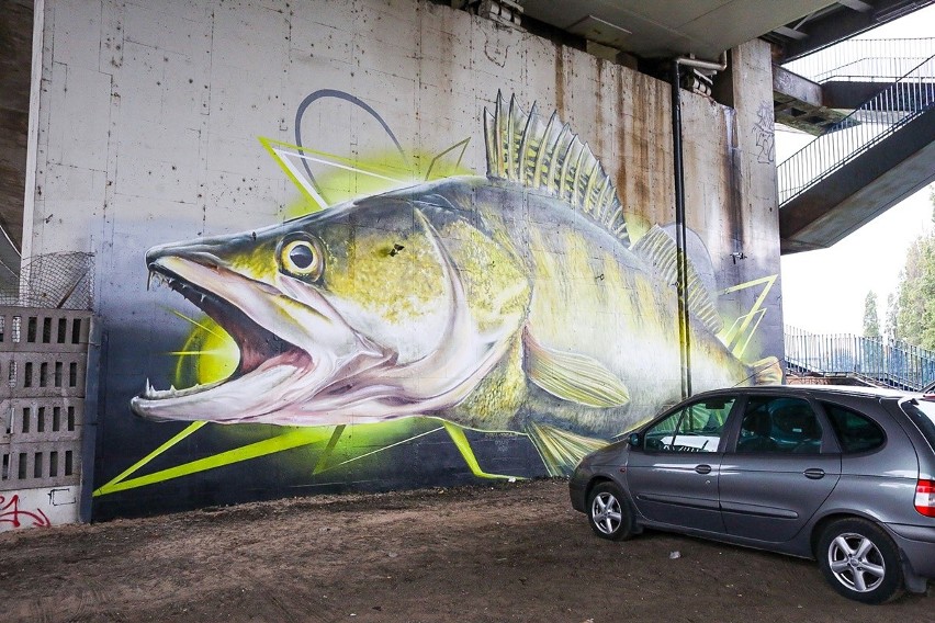 Ogromny sandacz na brzegu Odry w Szczecinie. Przy Trasie Zamkowej powstaje nietypowy mural