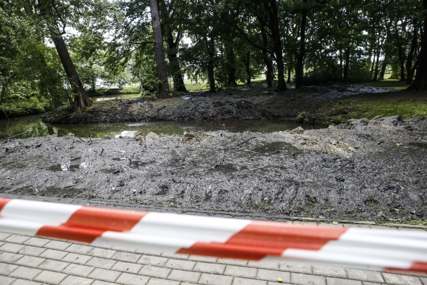 W poniedziałek w parku na Słocinie rozpoczęło się odmulanie...