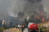 Grecja zmaga się z pożarami. Ogień zagraża mieszkańcom Aten. Ewakuacja trwa