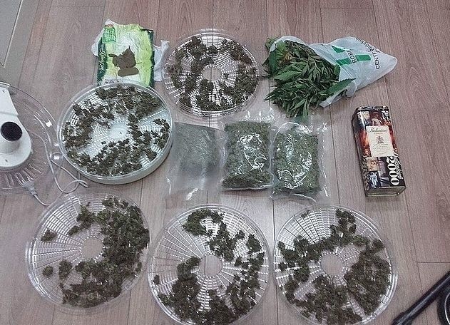 Policjanci ustalili, że 33-letni mieszkaniec Mielca uprawia konopie, a następnie wytwarza z nich w domu narkotyki w postaci suszu marihuany oraz haszyszu.