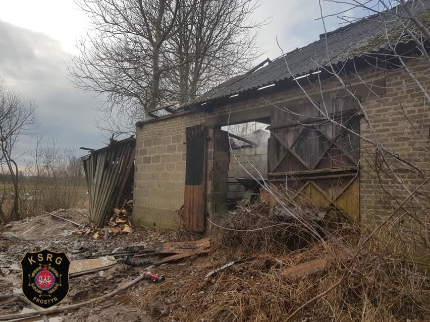 Borowe. Pożar budynku gospodarczego, 17.02.2020. Ogień gasiło dziewięć zastępów strażackich, akcję utrudniał silny wiatr [ZDJĘCIA]