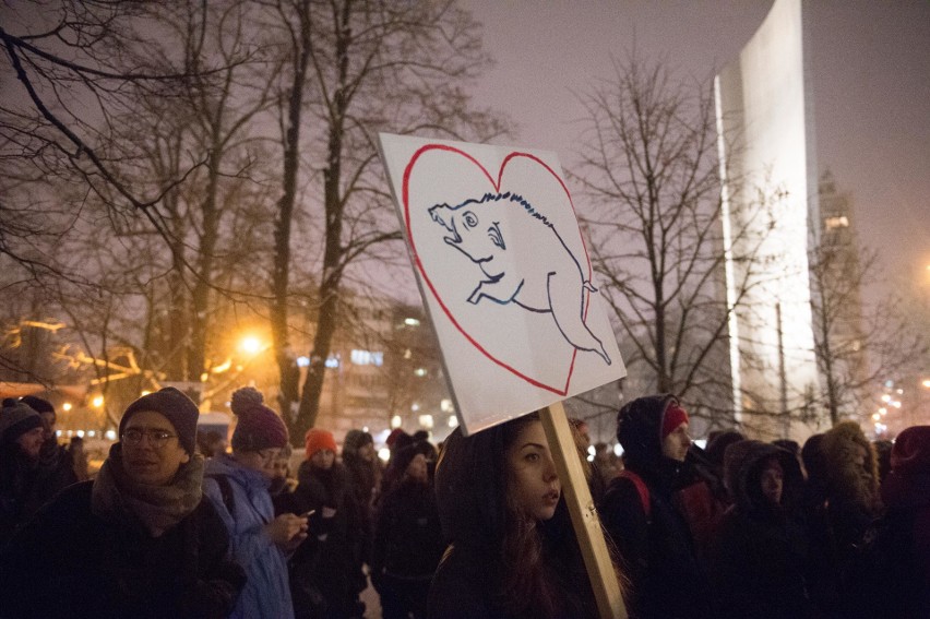 Protest przeciw odstrzałowi dzików pod Sejmem (9/01/2019)