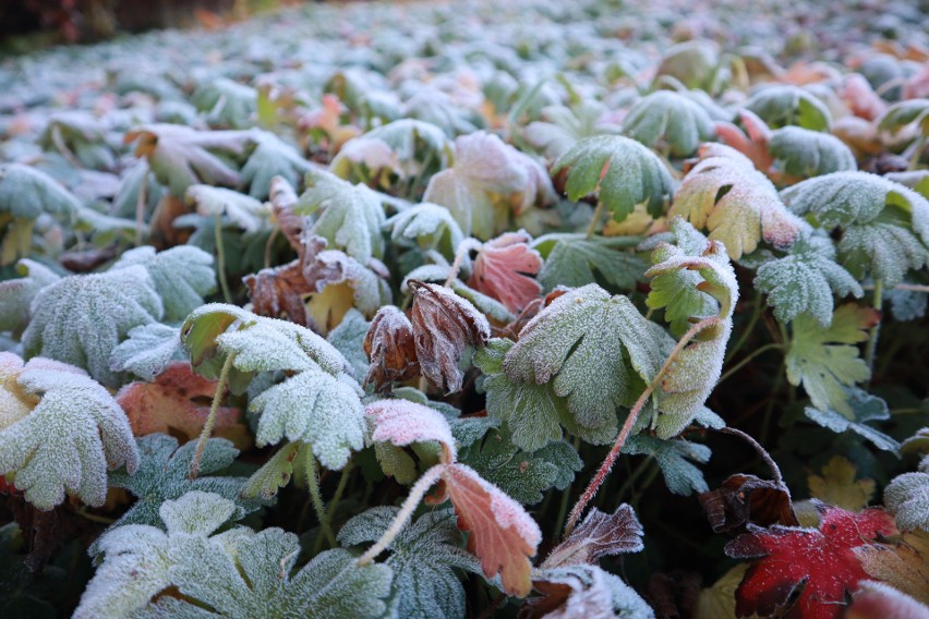 Instytut Meteorologii i Gospodarki Wodnej w Warszawie po raz...