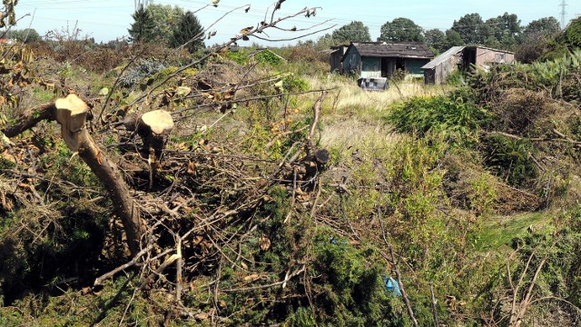 W piątek przy ul. Władysława IV, w miejscu dawnych działek, można było zobaczyć karczowisko