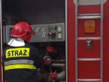 W Koszalinie i okolicy strażacy zmagali się ze skutkami wichury 