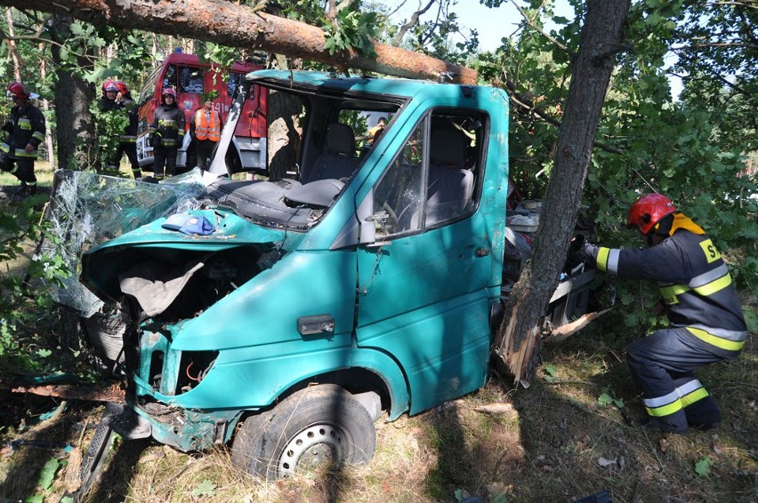 Transporter dosłownie wbił się w ścianę drzew.