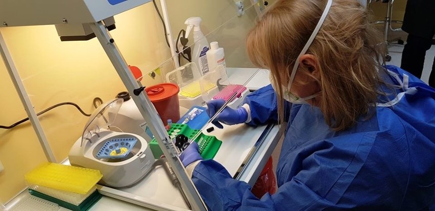 W Kędzierzynie-Koźlu powstało nowe laboratorium do badania próbek na obecność koronawirusa