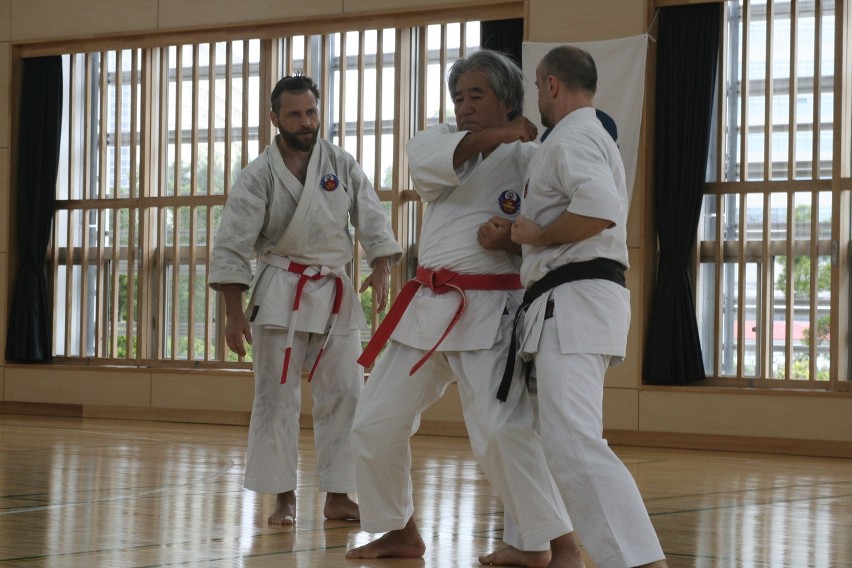 Jaworzniccy karatecy na szkoleniu w Japonii [ZDJĘCIA]
