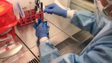 Koronawirus. Ponad 150 nowych zakażeń w Słupsku i regionie 
