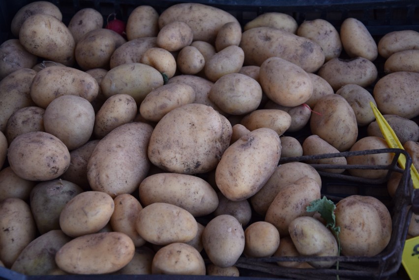 Młode ziemniaki - od 3 zł do 4.50 zł za kilogram