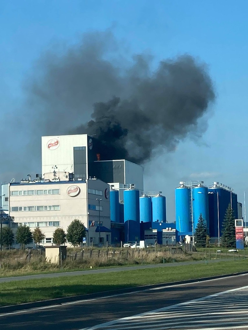 Pożar w mleczarni Bielmlek w Bielsku Podlaskim. Płonął dach...