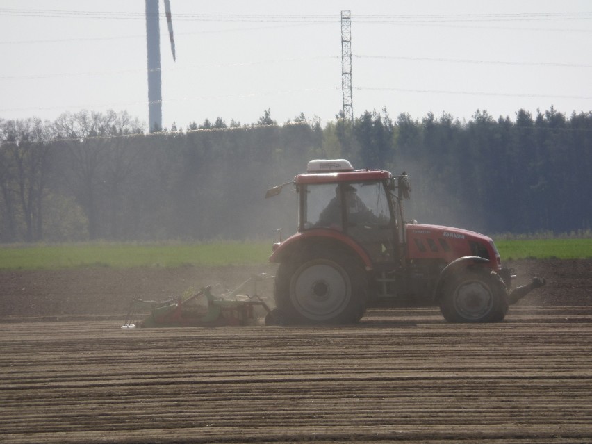 Osoby pracujące w rolnictwie narażone są na kilkanaście...