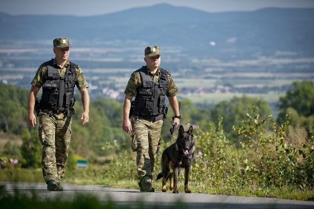 Psy służbowe wykonują różne obowiązki w Straży Granicznej.