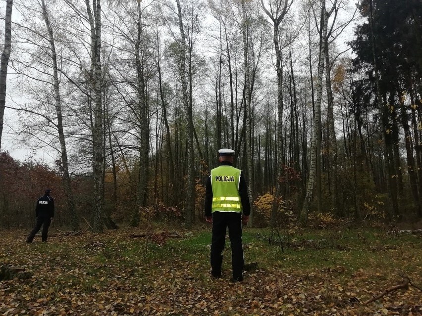 W lesie, na terenie gminy Nowe, zgubiła się pięcioosobowa...