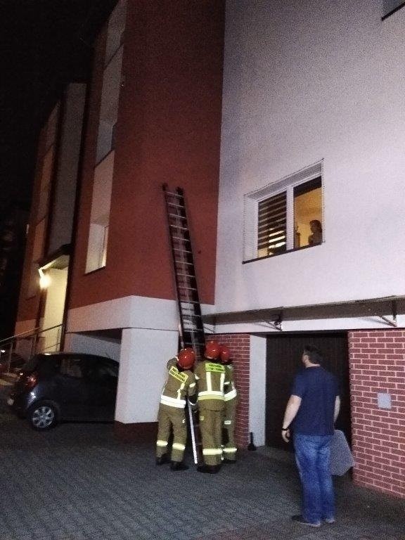 Groźny pająk wspinał się na blok. Interweniowała straż