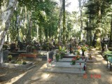 Ruda Śląska: Miasto chce wybudować siódmy cmentarz komunalny