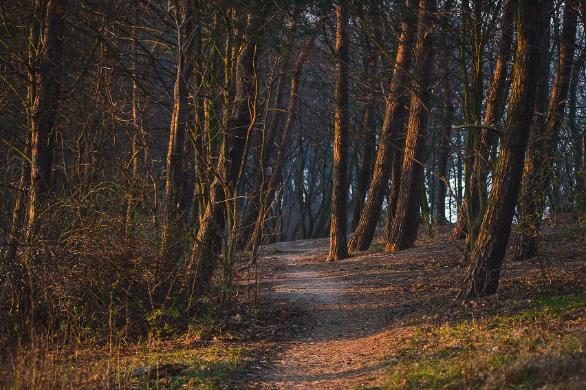 Babie Doły, 28.03.2020