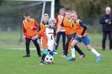 Świętokrzyskie Orły 2022 – Otwarte Mistrzostwa Piłki Nożnej o Puchar Wolnej Polski