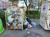 Przedsiębiorstwo Gospodarki Komunalnej odpowiada skąd biorą się problemy z wywozem odpadów
