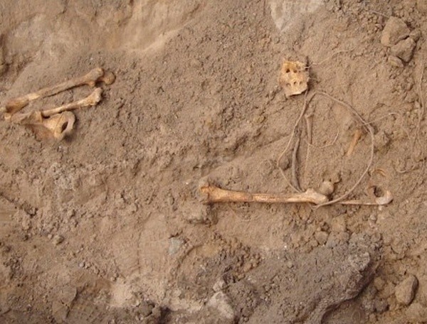Ustalono, że kości prawdopodobnie pochodzą z okresu II Wojny Światowej - dodaje podkom. Tomaszczuk.