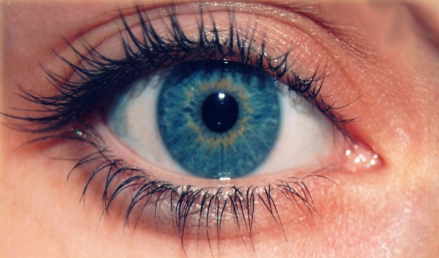 Skóra wokół oczu ma tylko pół milimetra grubości.