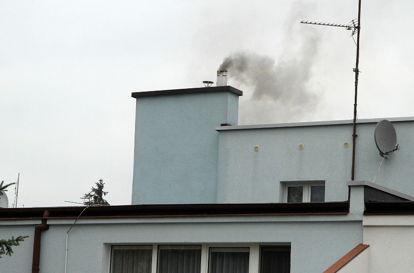 Podczas przeprowadzanych kontroli strażnicy nie zapominali o...