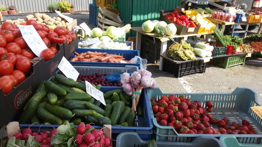 Ogórki gruntowe na mizerię - 2,50-3 zł/kg, ogórki do...