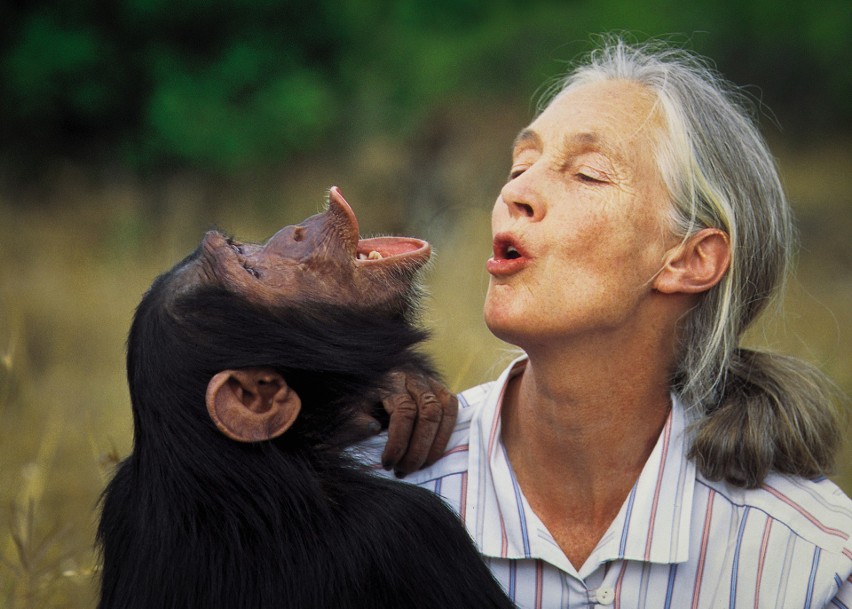 Jane Goodall...