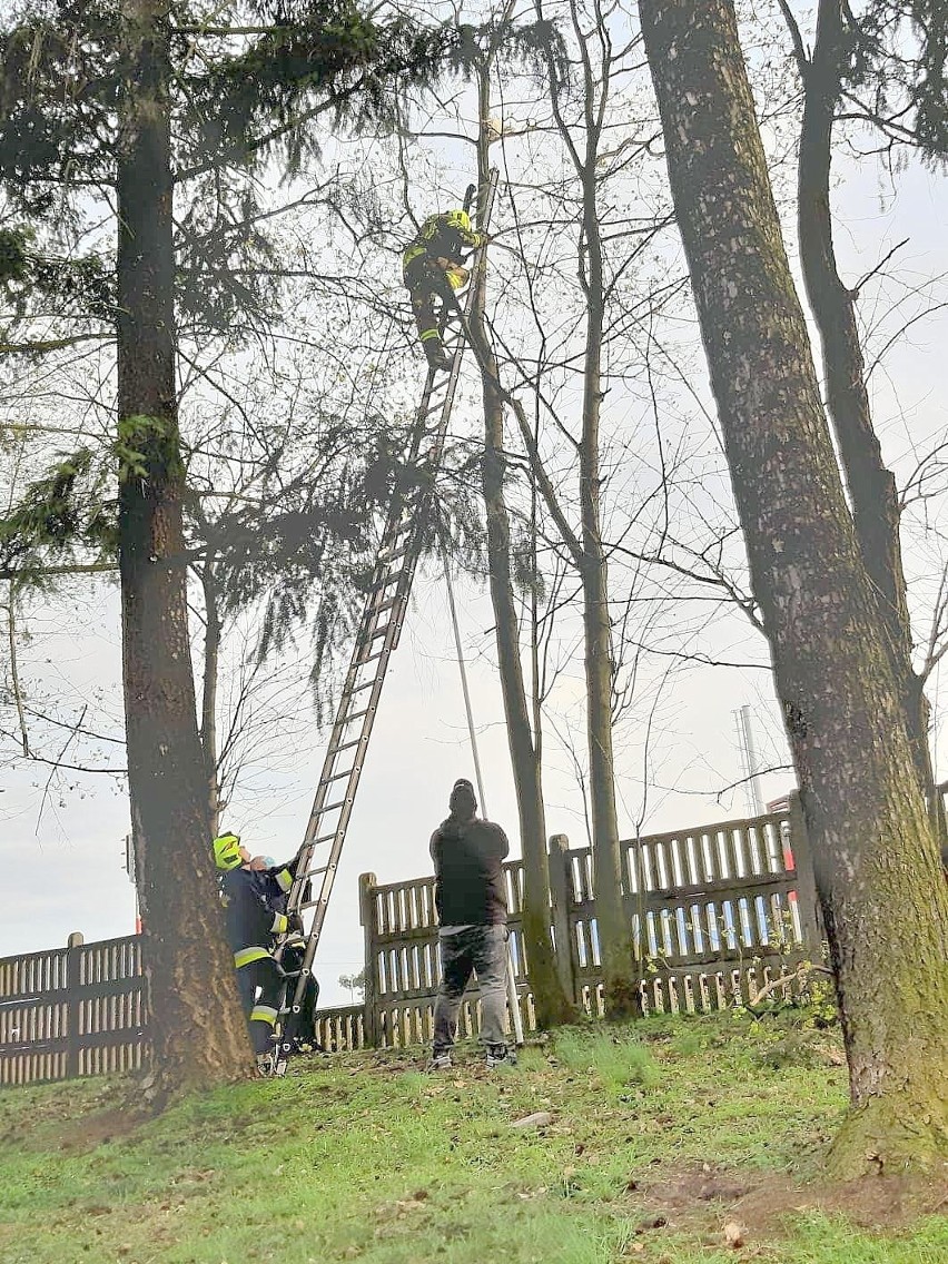 Było późne popołudnie (13 kwietnia), kiedy strażacy ze...