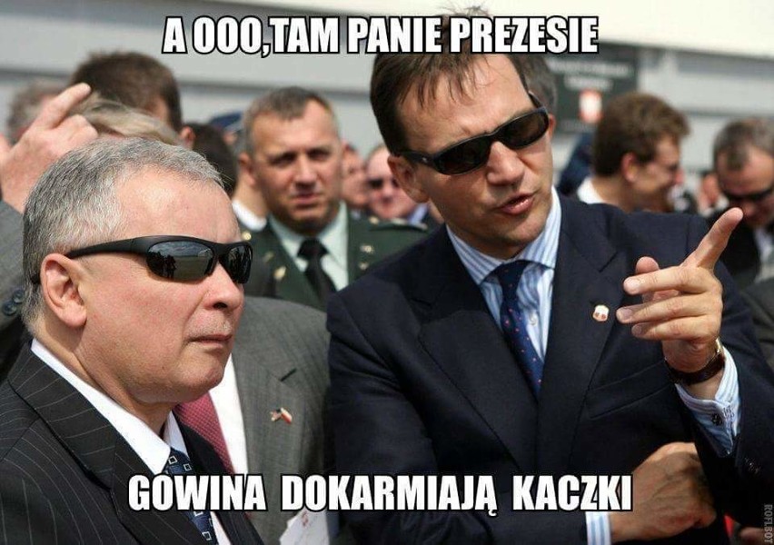 Jarosław Gowin MEMY pod hasłem: Biedny jak GOWIN pojawiły...