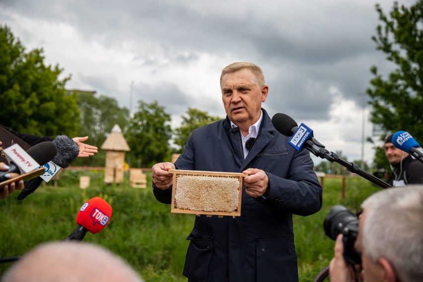 Owady zadomowiły się na skwerze przy Atrium Biała. Jest już...