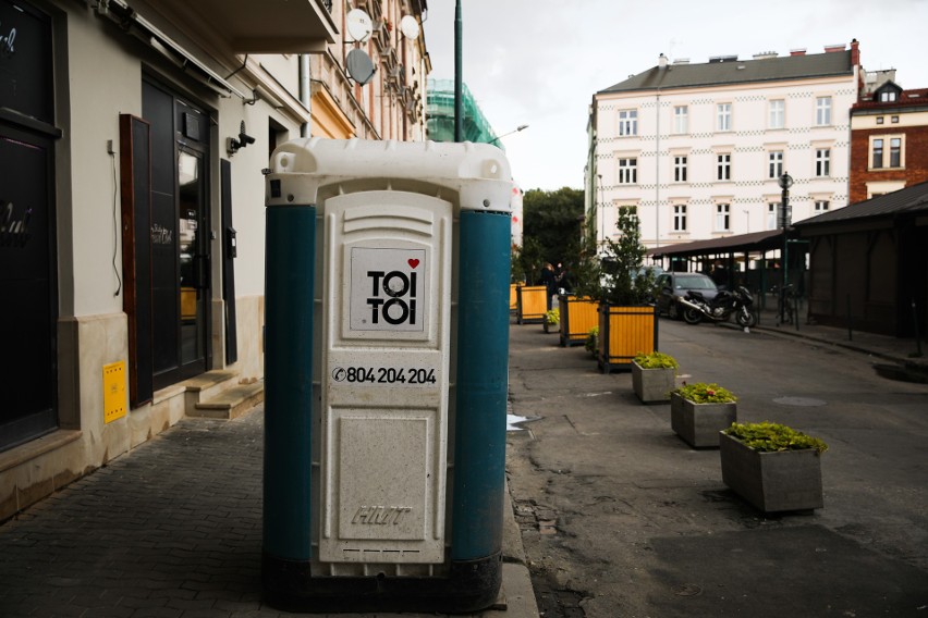 Kraków. Nowe drzewa na placu Nowym. Czy ostrokrzewom nie zaszkodzi alkohol?