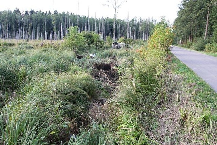 Po zderzeniu z łosiem auto dachowało i wpadło do rowu