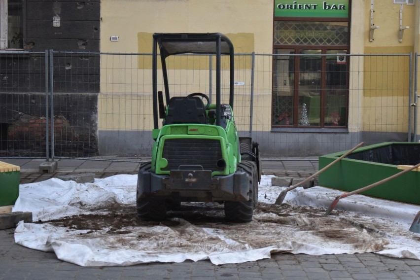 Trwa realizacja projektu Grow Green na Żeromskiego i...