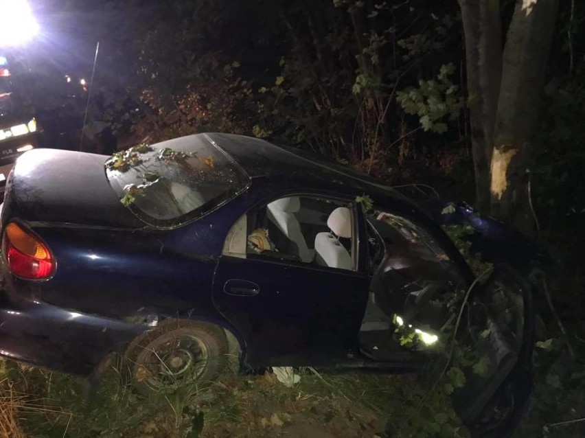 Śmiertelny wypadek w Kleszczewie. Samochód osobowy uderzył w drzewo. Kierujący 51-latek zmarł w szpitalu [zdjęcia]