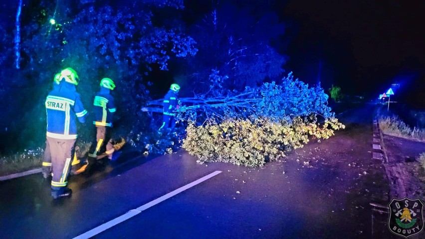 Burza nad powiatem ostrowskim narobiła niegroźnych szkód: przewalone drzewa, połamane gałęzie na drogach. 17.07.2023