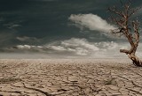 Czeka nas katastrofa klimatyczna? Rafał Maszewski: "Świat się obudzi, kiedy naprawdę zacznie się źle dziać"
